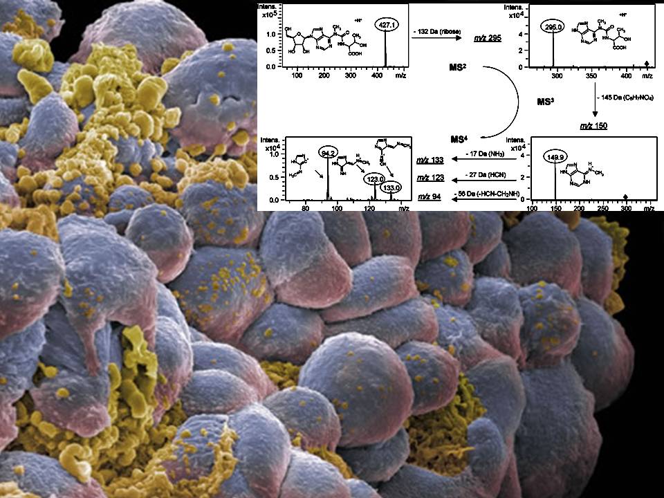 Science_report_abb1